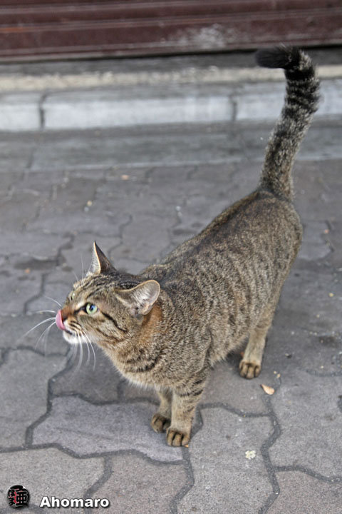 写真00
