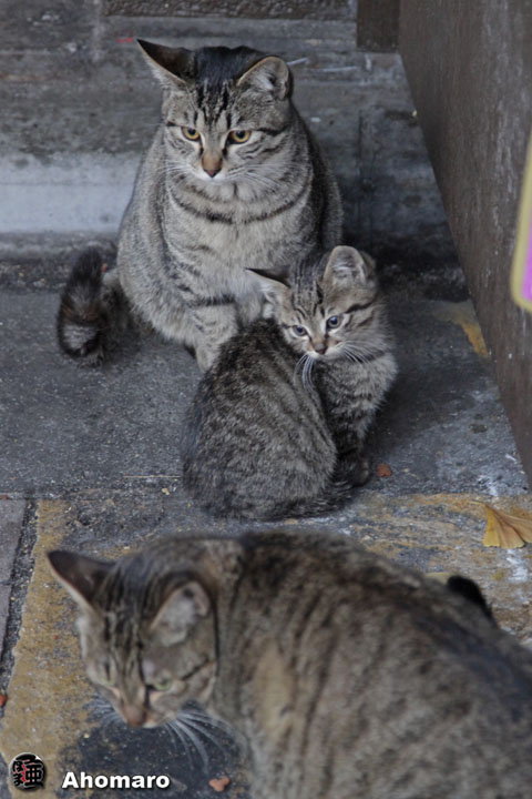 写真00