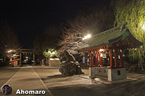 写真00
