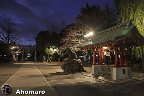 写真00