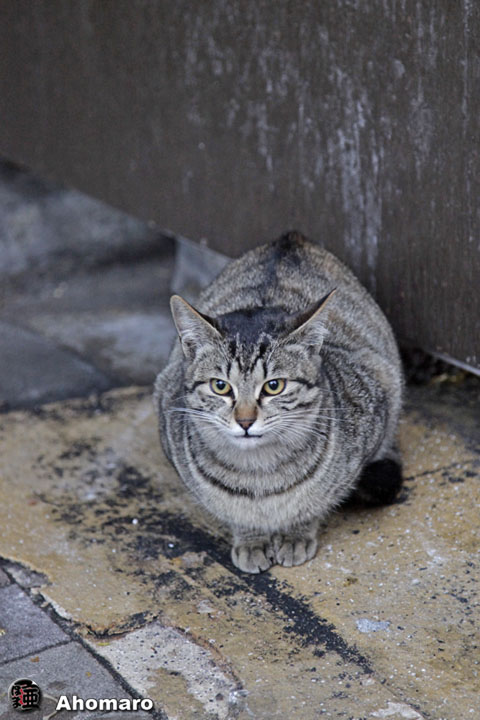 写真00