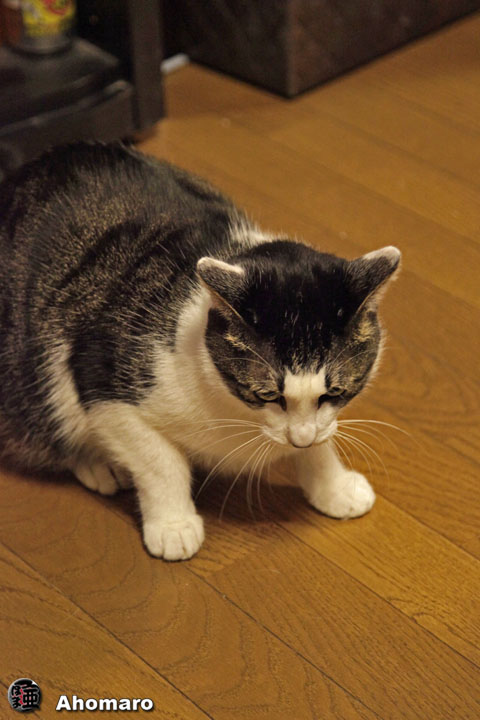 写真00