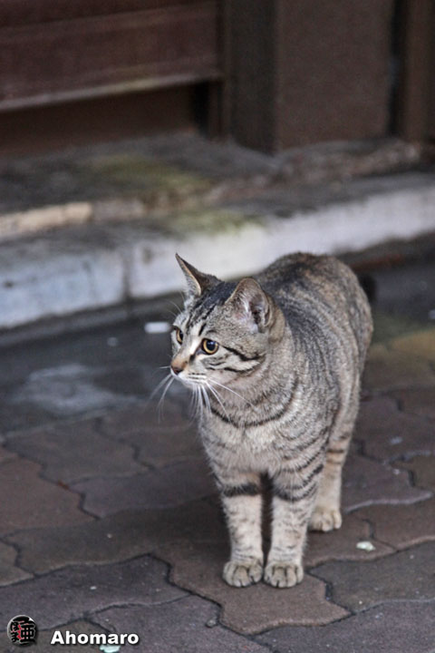 写真00