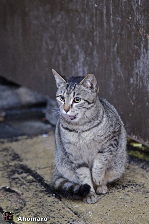 写真00