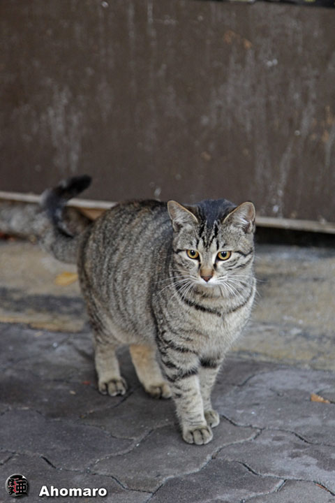 写真00