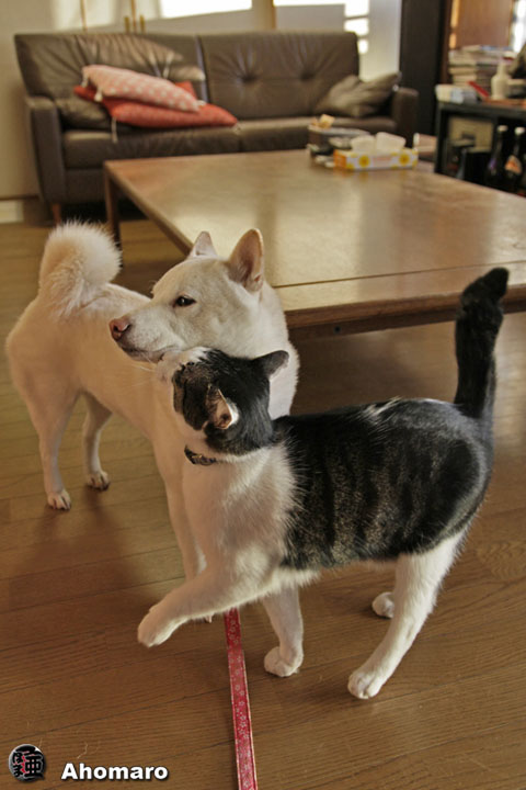 写真00