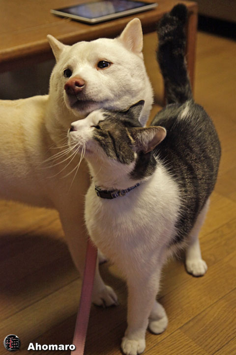 写真00