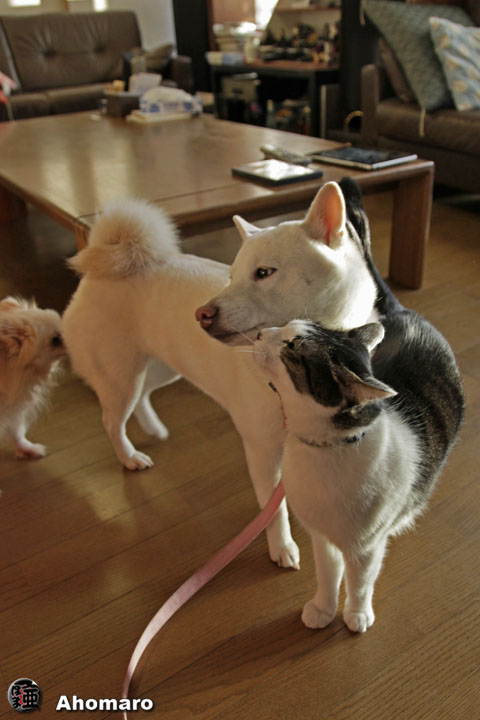 写真00