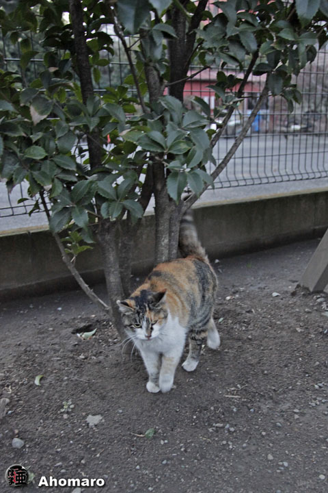 写真00