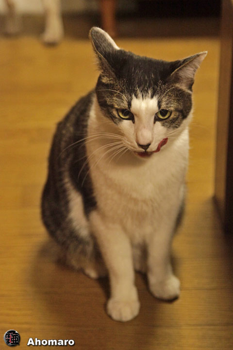 写真00