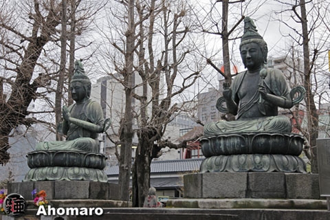 写真00