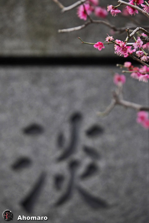 写真00
