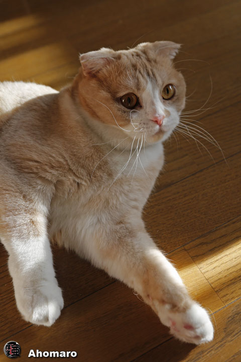 写真00