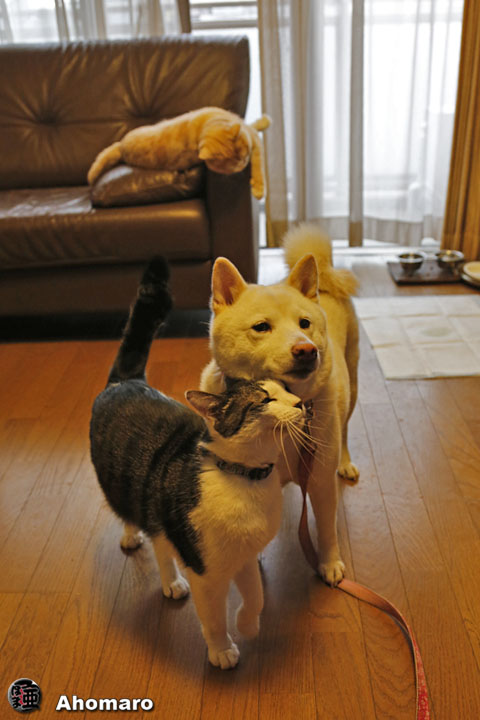 写真00