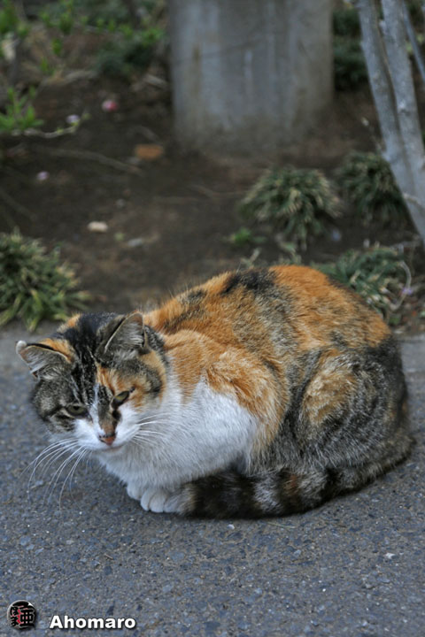 写真00