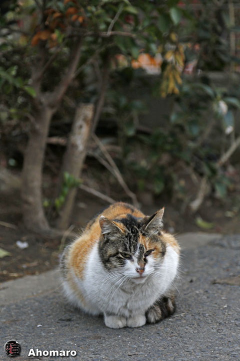 写真00