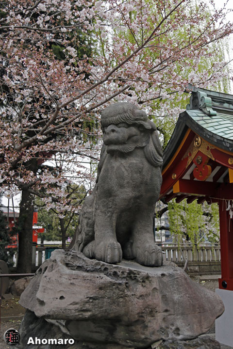 写真00