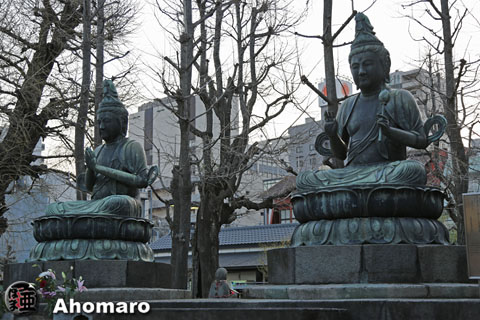 写真00