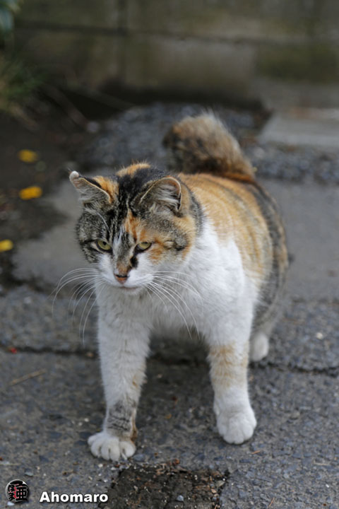 写真00