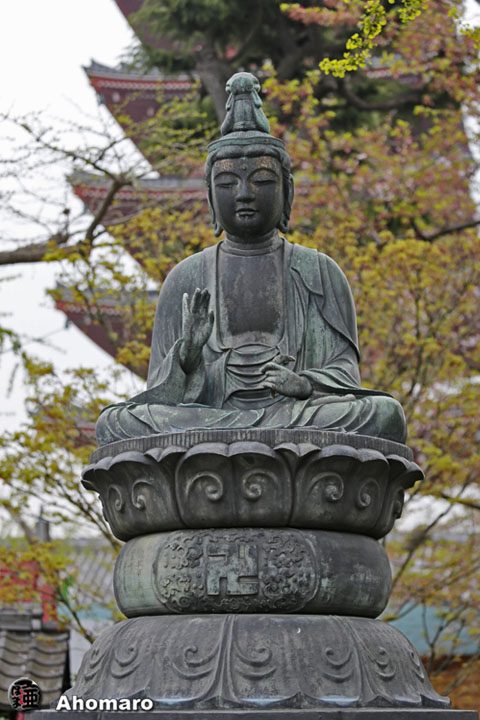 写真00