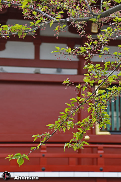 写真00