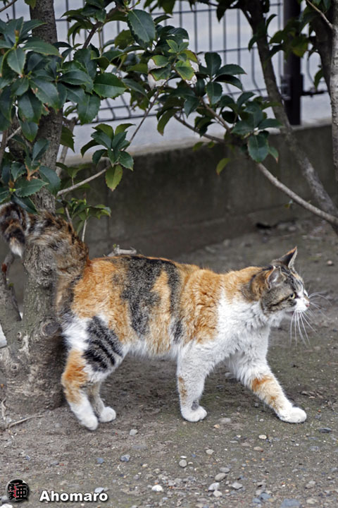 写真00