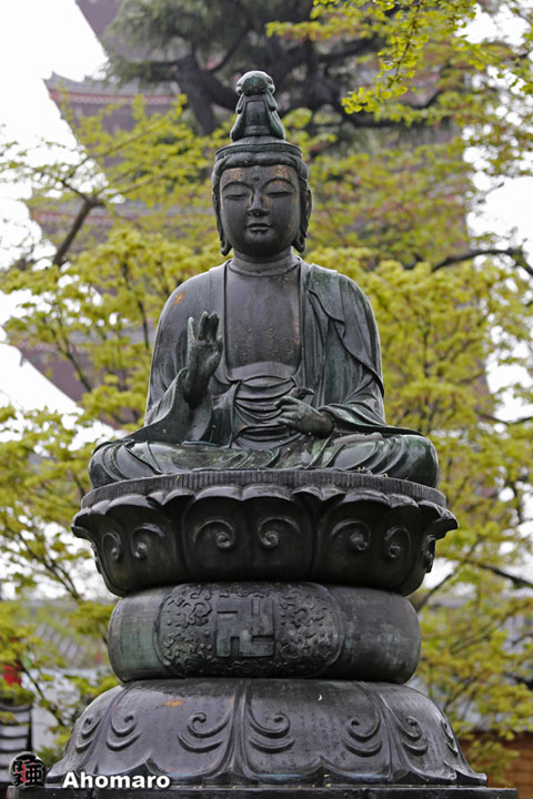 写真00