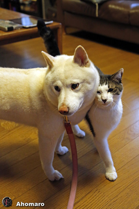 写真00