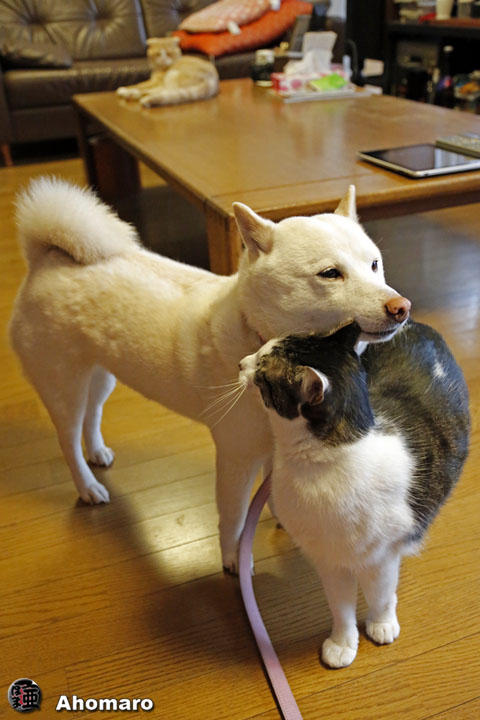 写真00