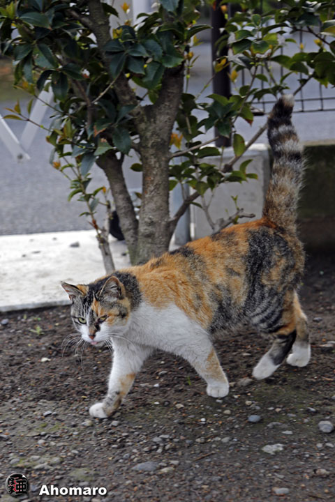 写真00