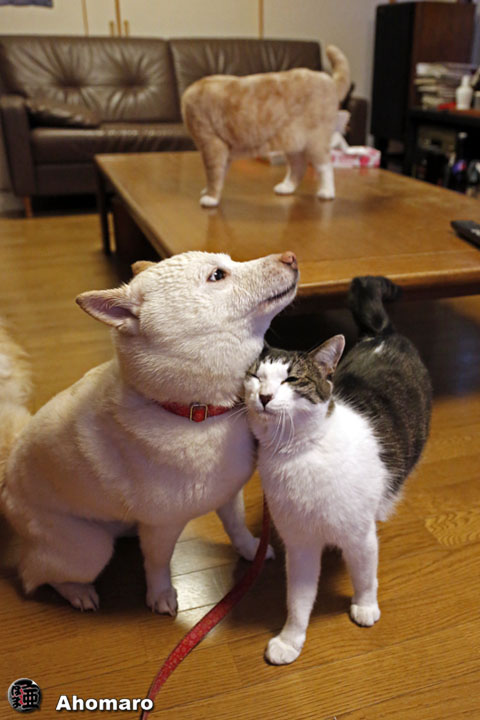 写真00