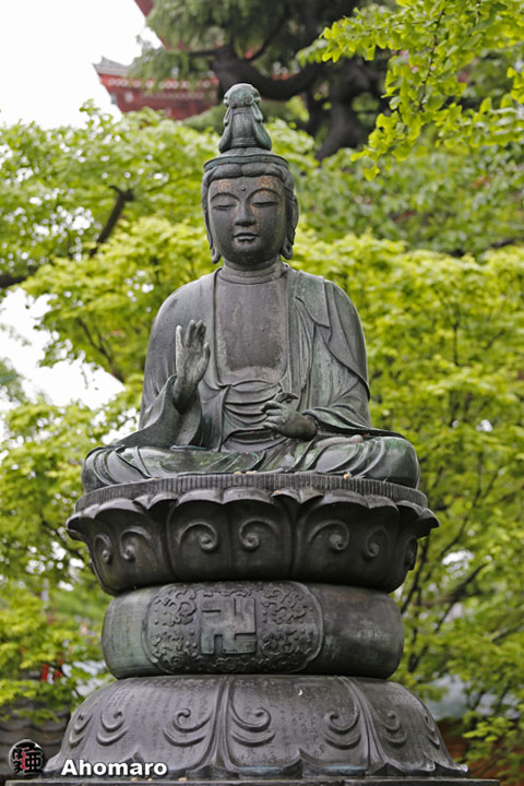 写真00