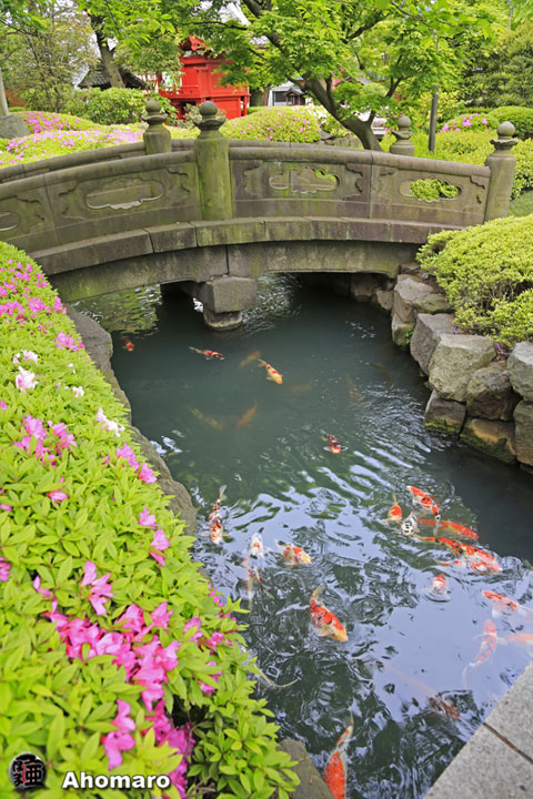 写真00
