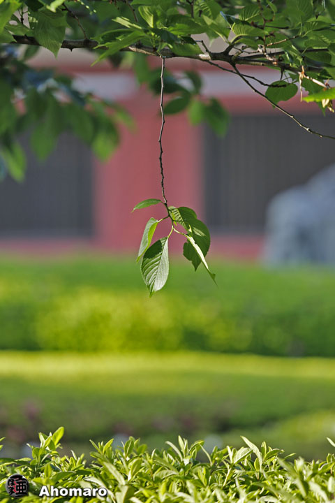写真00