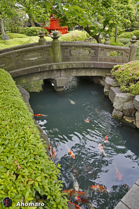 写真00