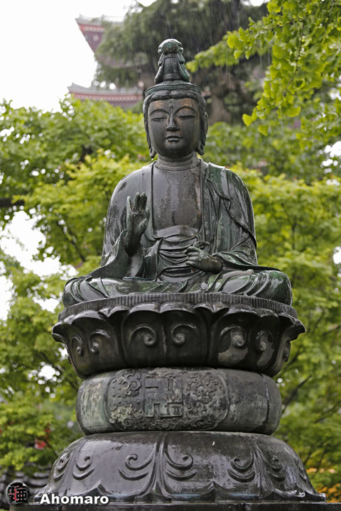 写真00