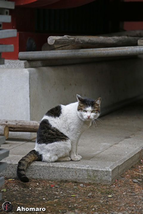 写真00