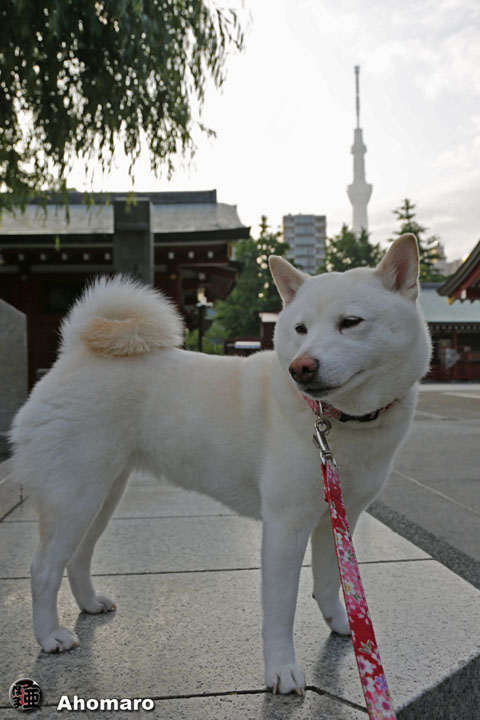 写真00