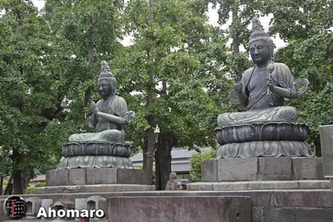 写真00