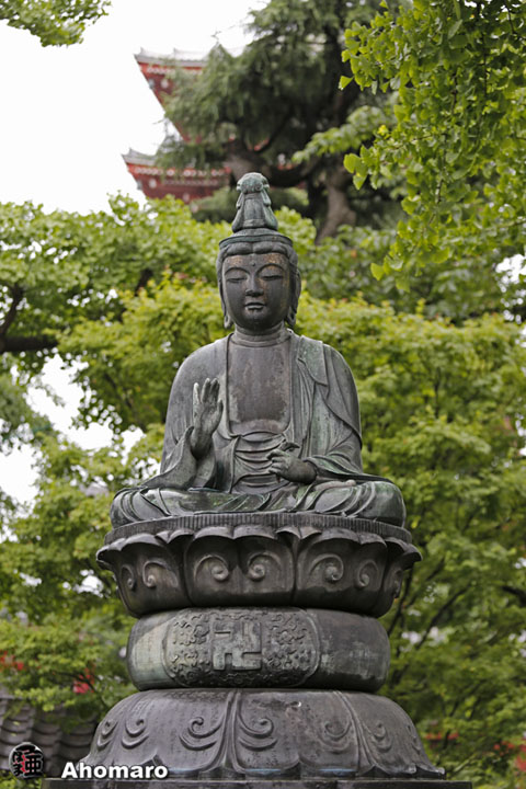 写真00