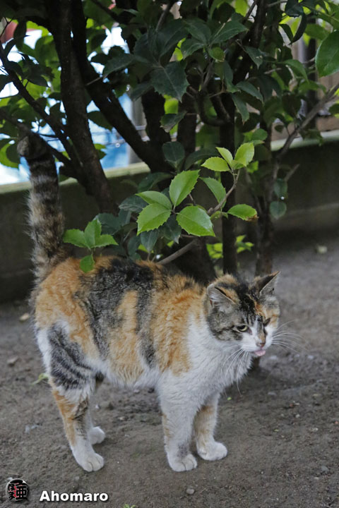 写真00
