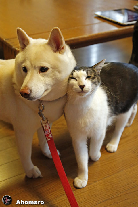 写真00