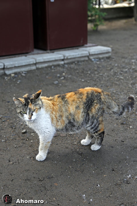 写真00