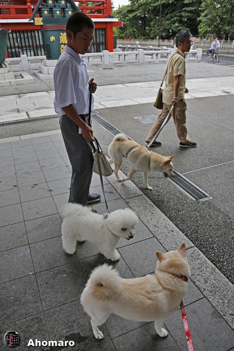 写真00