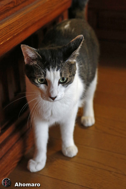 写真00