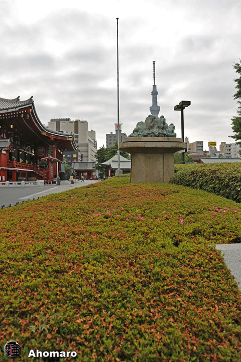 写真00