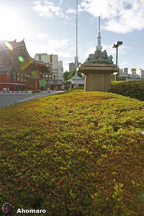 写真00
