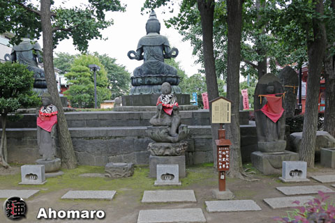 写真00