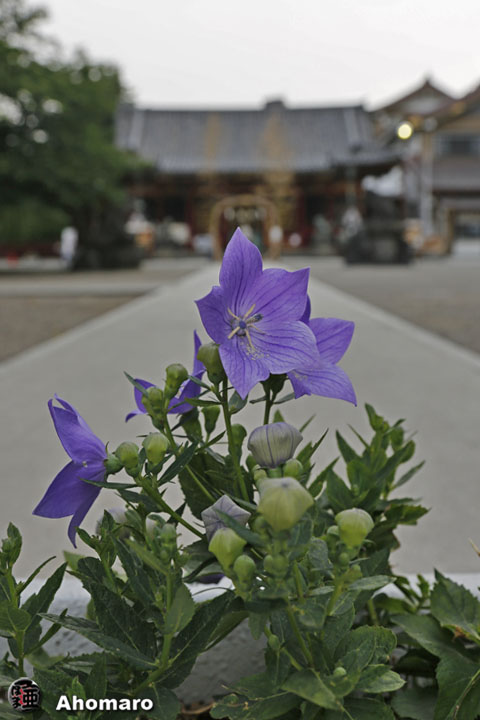 写真00