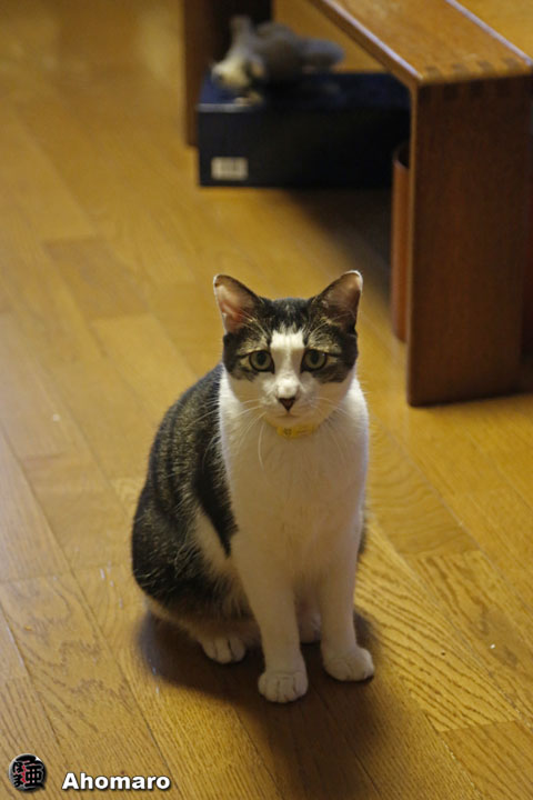 写真00